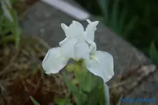 comp_DSC04866.webp