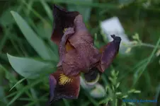 comp_DSC04867.webp