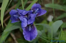 comp_DSC04868.webp