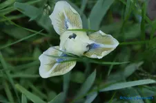 comp_DSC04869.webp