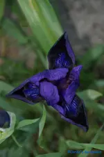 comp_DSC04870.webp