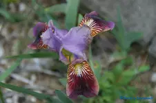 comp_DSC04871.webp