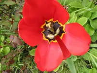 001.webp