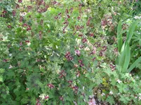 016.webp