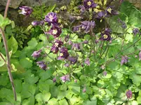 019 - Kopie.webp