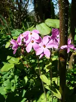 P1110717.webp