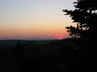 P1110766.webp