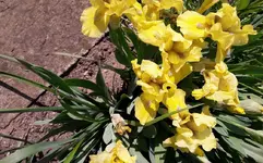 003.webp
