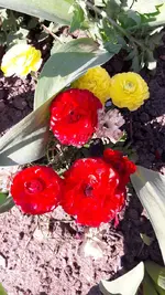 004.webp