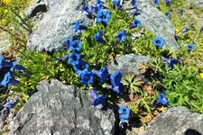 DSCF5836 (2).webp