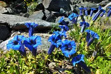 DSCF5838 (2).webp