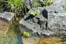 DSCF5831 (2).webp