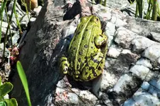 DSCF5832 (2).webp