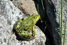 DSCF5833 (2).webp
