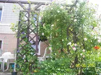 100_2554.webp