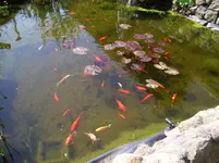 100_1957.webp 100_1957.webp