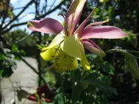 IMG_4730.webp