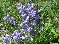 IMG_4732.webp