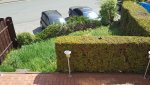 20160509_152420.jpg