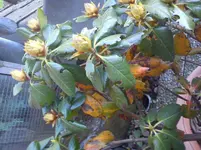 DSC03084.webp