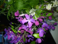 DSC03085.webp