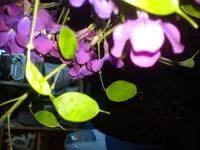 DSC03086.webp