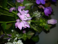 DSC03087.webp