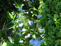 IMG_4735.webp