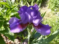 P1100604.webp