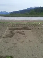 20160509_174437.webp