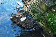 DSCF5864 (3).webp