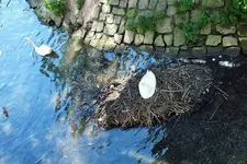DSCF5865 (2).webp