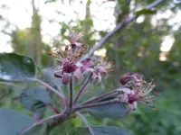 P1100304.webp