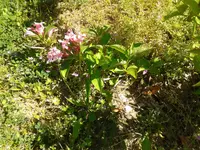 20160508_133341.webp
