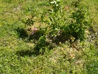 20160508_133325.jpg