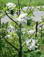k-P1100435.webp