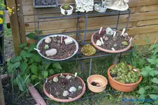 comp_DSC04879.webp