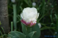 comp_DSC04880.webp