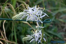 comp_DSC04886.webp