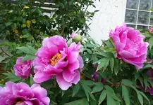 IMG_20160510_200703.webp