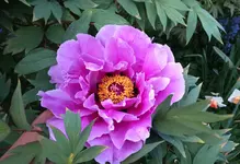 IMG_20160510_200727.webp