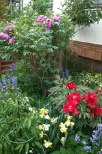 IMG_20160510_200817.webp