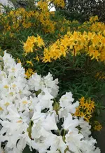 IMG_20160510_200854.webp