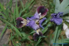 comp_DSC04877.webp