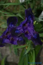 comp_DSC04878.webp