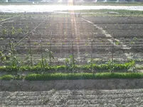 20160510_180754.webp