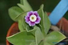 comp_DSC04884.webp