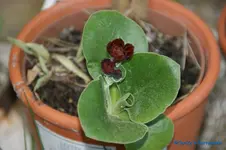 comp_DSC04885.webp