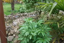 SAM_1218.webp