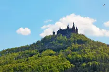 DSCF5781 (2).webp